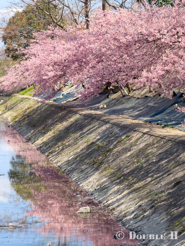 TediousPhoto20260313F