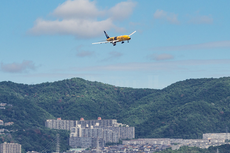 TediousPhoto20260108C