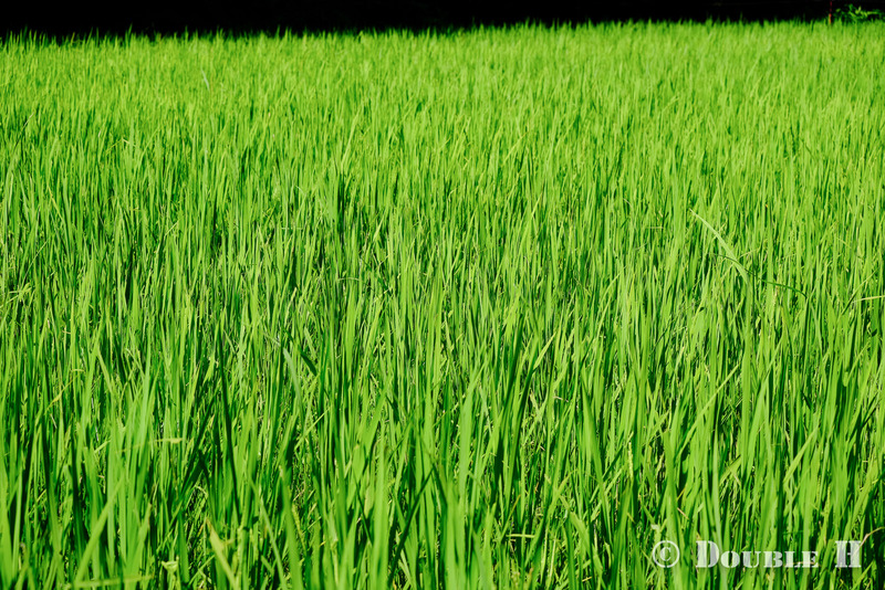 TediousPhoto20240805