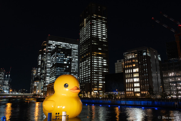 SIGMA18-50F2.8DCDN12