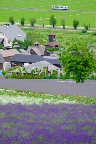 BlogUpload20140907_15_X-T1