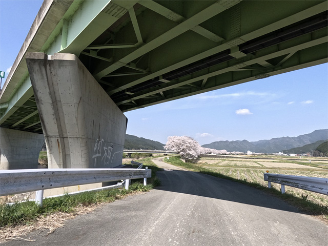 SakuraCycling2026HikamiKakogawaCapture04