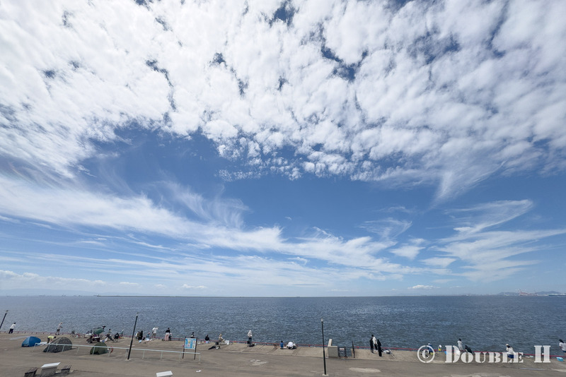 TediousPhoto20260824A