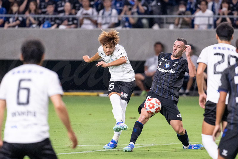 TediousPhoto20240823H