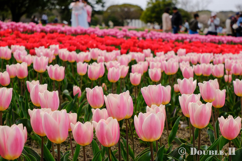 TediousPhoto20240405B