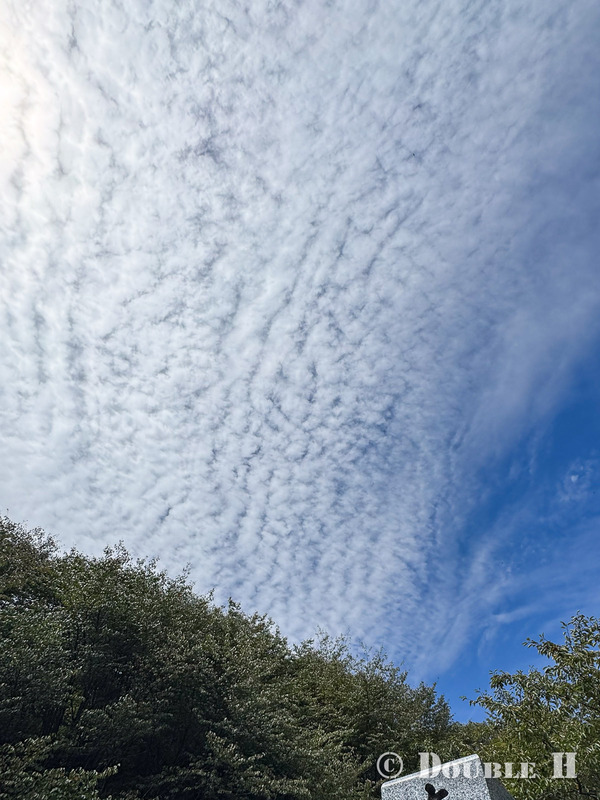 TediousPhoto20250923