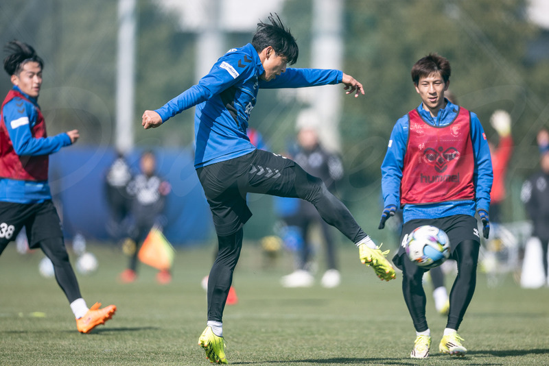 TediousPhoto20260204H