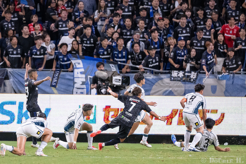 TediousPhoto20241112F