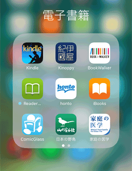 Kindle20161229B