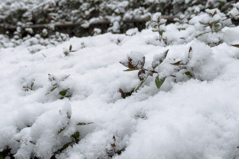 TediousPhoto20260208B