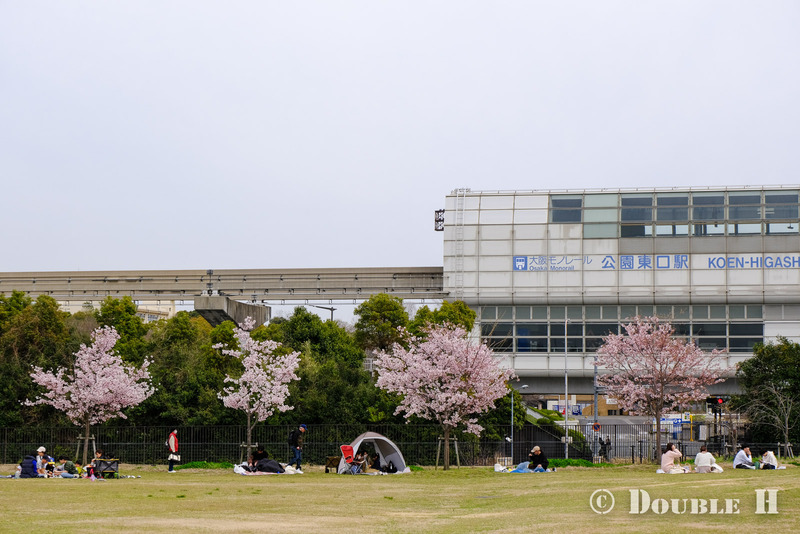 TediousPhoto20240404B