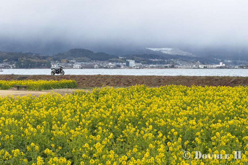 TediousPhoto20260218A