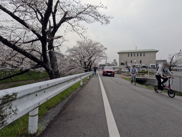 SakuraCycling2026SaboRiverCapture03