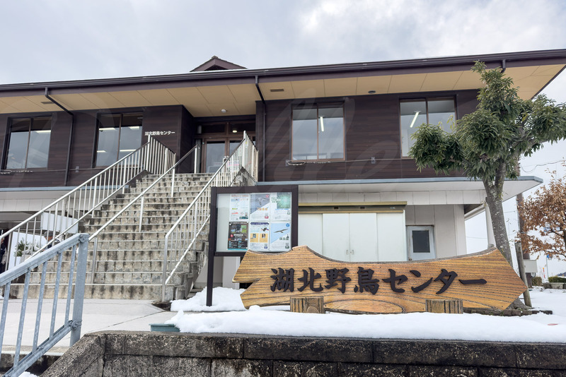 TediousPhoto20260130C