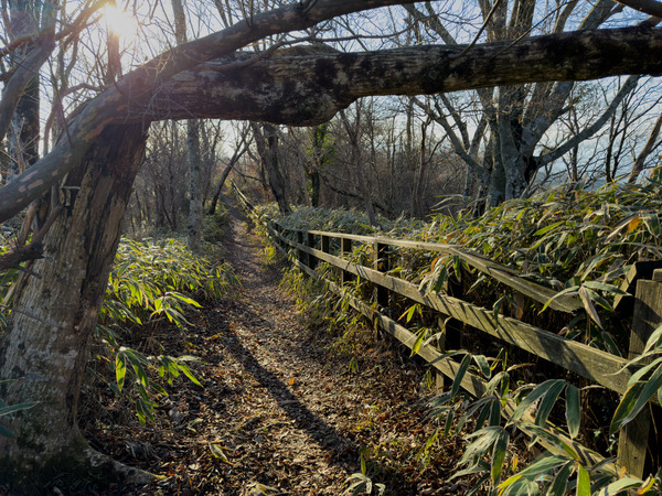 iPhone15ProMaxPhoto19BigSize