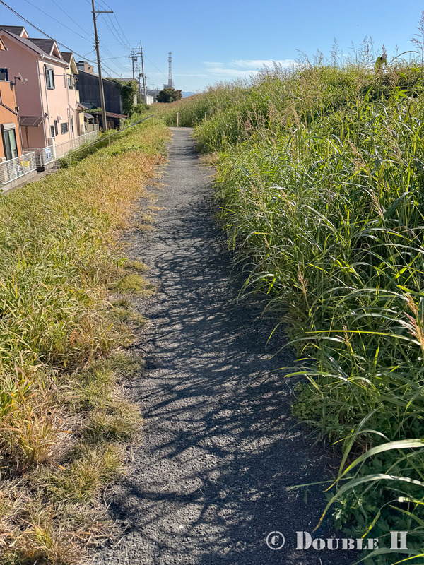 TediousPhoto20251119F