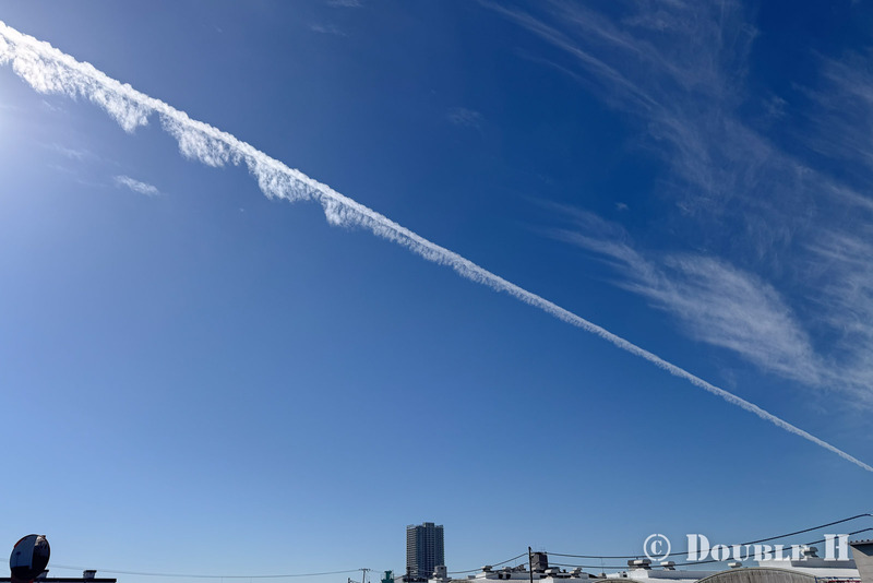 TediousPhoto20251215