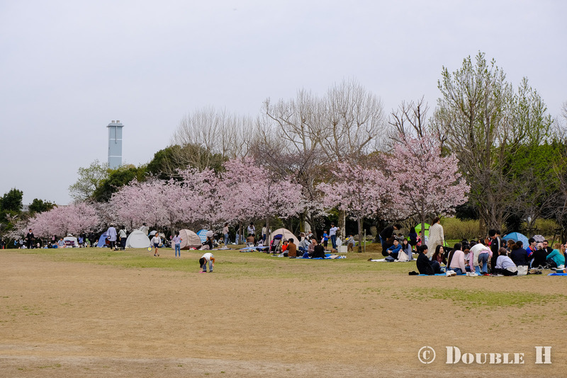 TediousPhoto20240404C