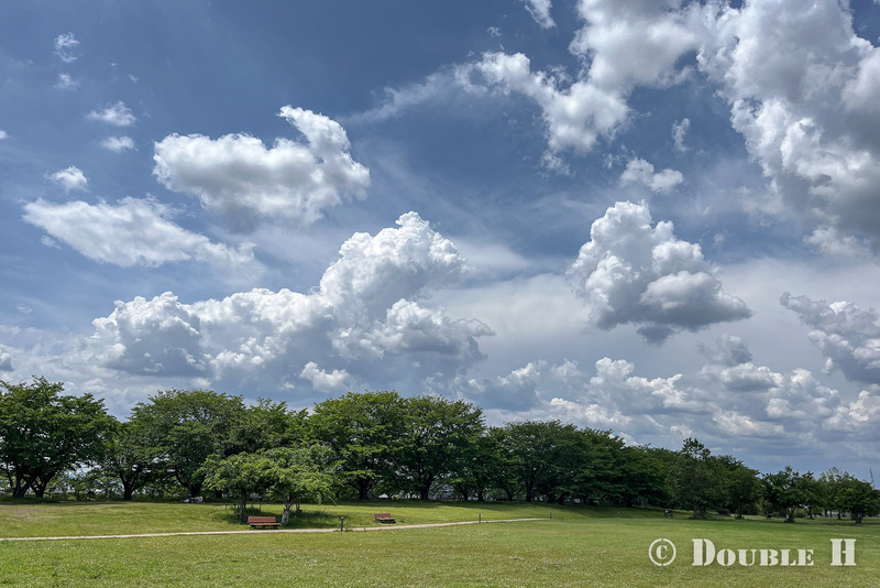 TediousPhoto20260515