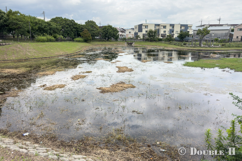 TediousPhoto20260719T