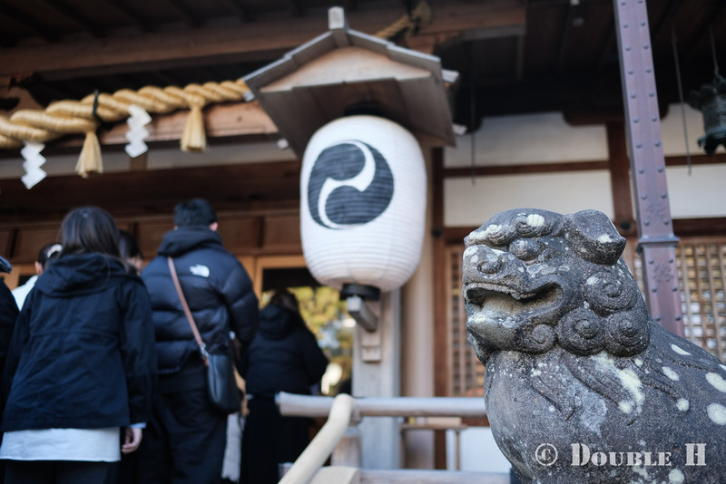 TediousPhoto20250103