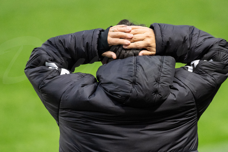 TediousPhoto20251112D