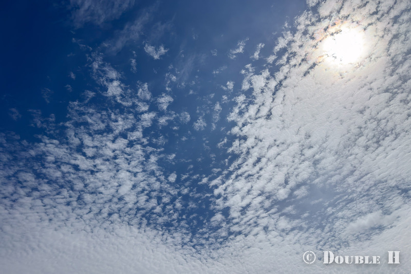 TediousPhoto20260718