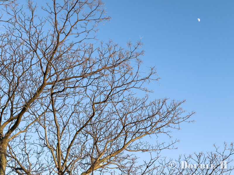 TediousPhoto20260211