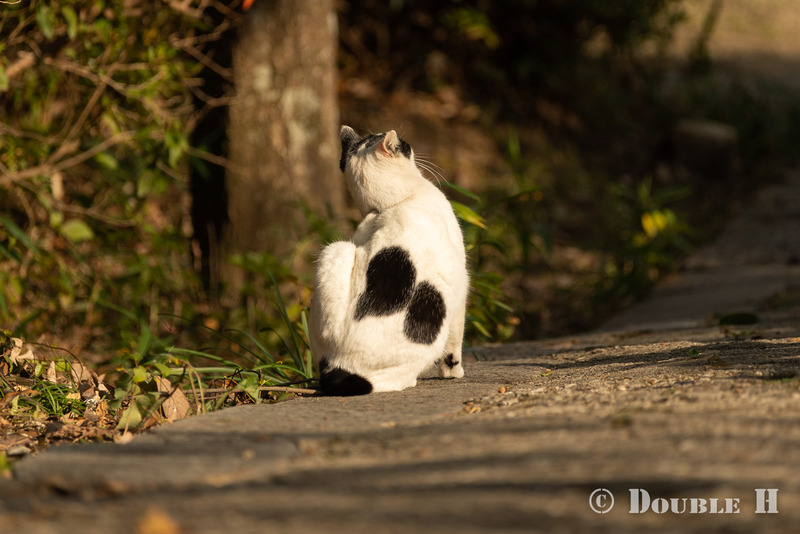 TediousPhoto20240714