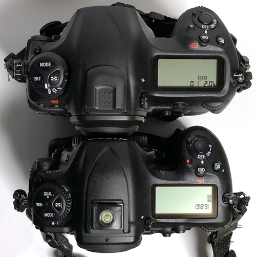 D5_08withD500