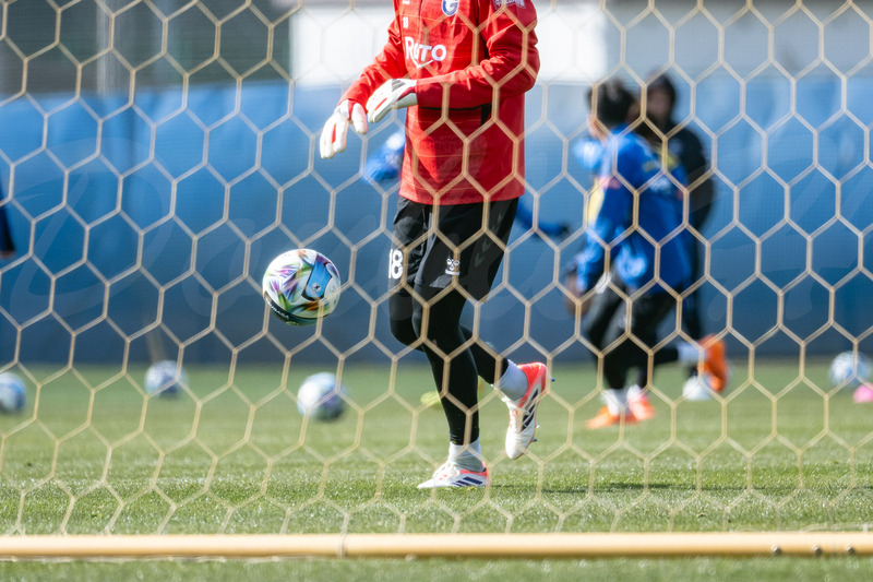 TediousPhoto20260206