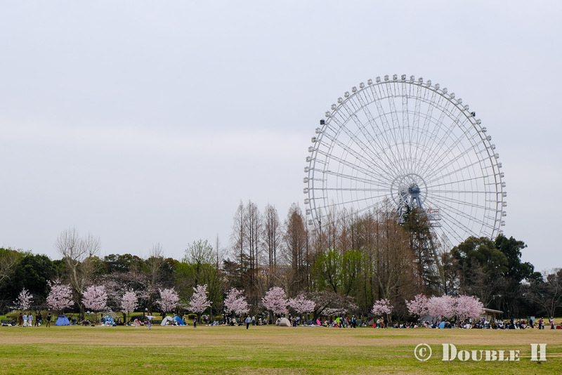 TediousPhoto20240404A