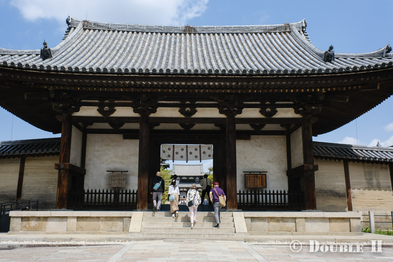 TediousPhoto20240611