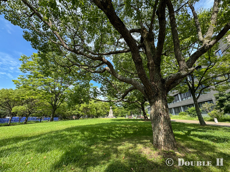 TediousPhoto20240719