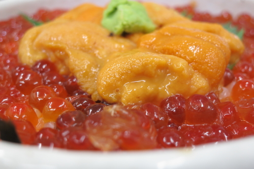 PowerShotS100_3month_sample05s