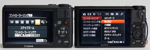 DSC-RX100vsS100_17