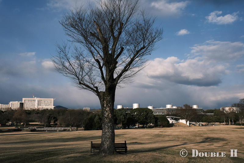 TediousPhoto20240222