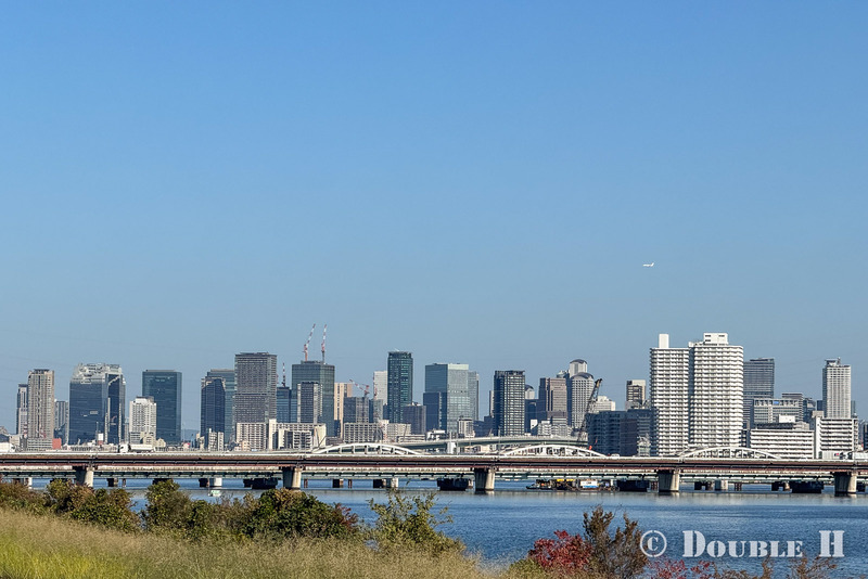 TediousPhoto20240121