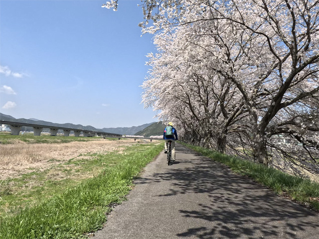 SakuraCycling2026HikamiKakogawaCapture13