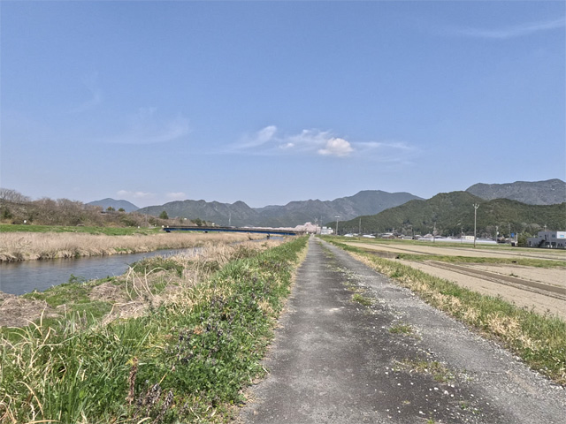 SakuraCycling2026HikamiKakogawaCapture10