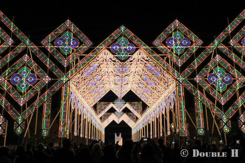 TediousPhoto20240128C