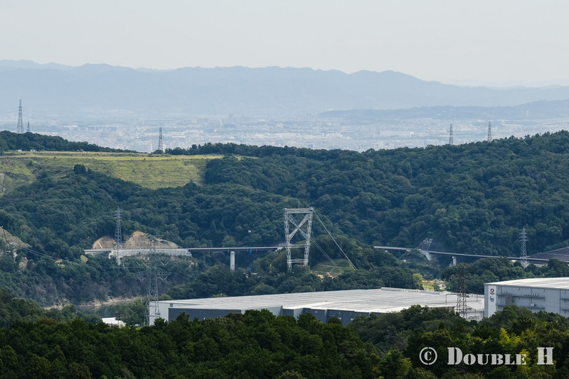 TediousPhoto20250608I