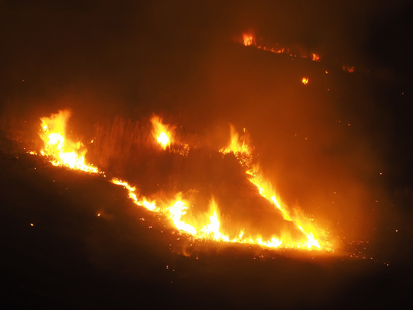 EM10M2sampleWakakusayama5