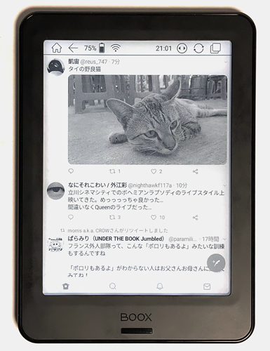BOOXPokePro44