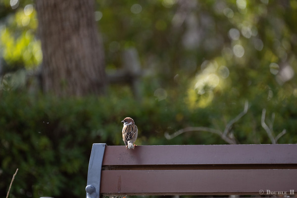 TediousDays20220325_08