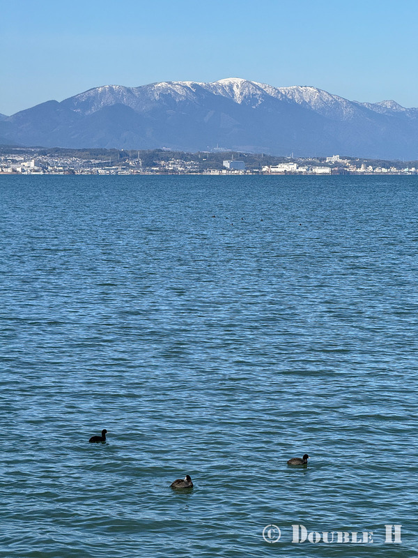 TediousPhoto20240115F