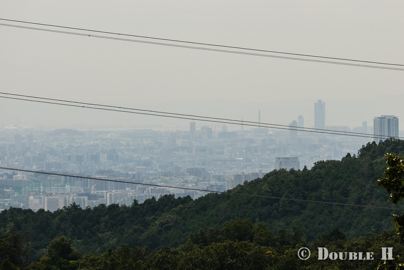 TediousPhoto20250608N