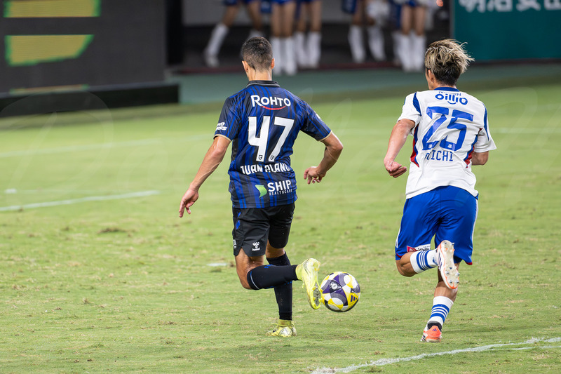 TediousPhoto20250924_12