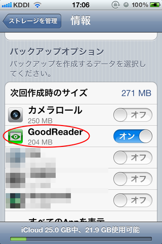 GoodReader_iCloud33_SizeBeforeiPhone