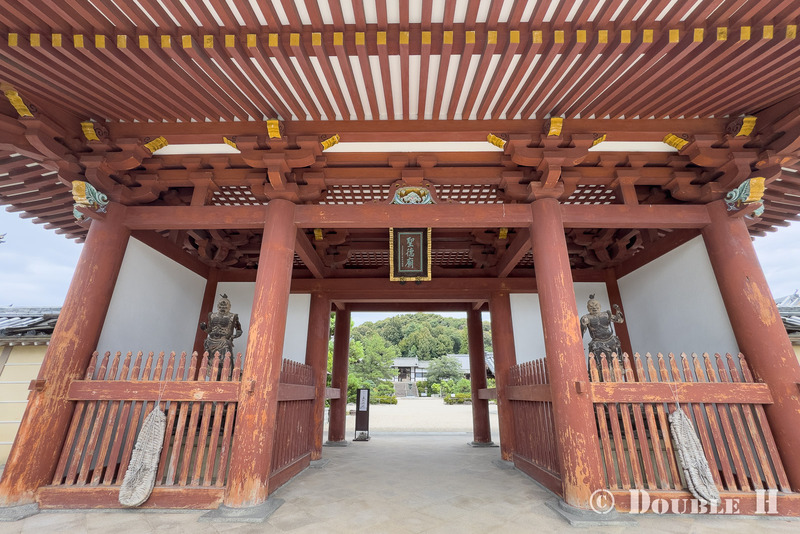 TediousPhoto20260908D